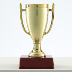 Кубок - Фото 1