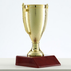 Кубок - Фото 2