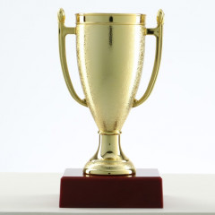 Кубок - Фото 3