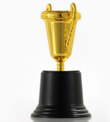 Кубок - Фото 3