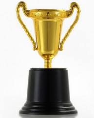 Кубок - Фото 4