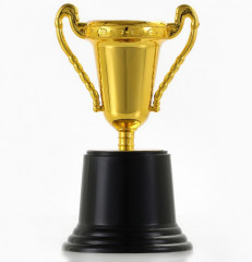 Кубок - Фото 2