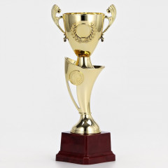 Кубок - Фото 2