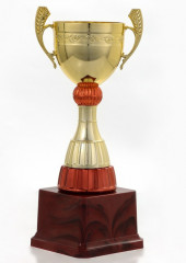 Кубок - Фото 1