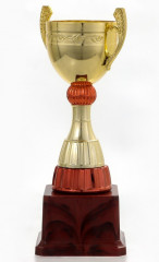 Кубок - Фото 2