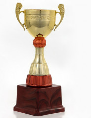 Кубок - Фото 3