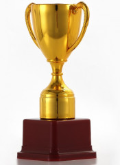 Кубок - Фото 3