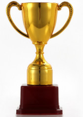 Кубок - Фото 4