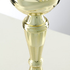 Кубок - Фото 4