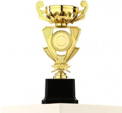 Кубок - Фото 2