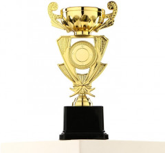 Кубок - Фото 4