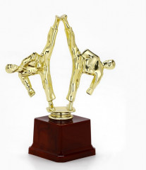 Кубок «Спортивные единоборства» - Фото 1