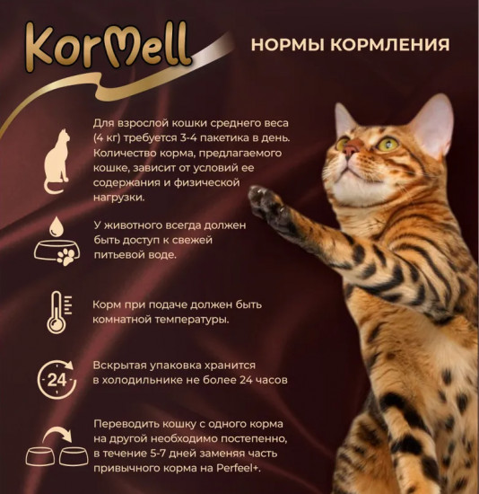 Паштет с индейкой для кошек