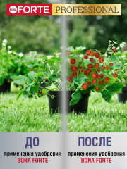 Удобрение водорастворимое для клубники, земляники с аминокислотами - Фото 2