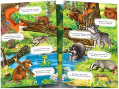 Наклейки многоразовые «Кто живёт в лесу» - Фото 1