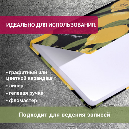 Скетчбук