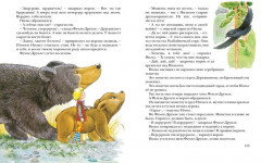 Чудесное путешествие Нильса с дикими гусями - Фото 4