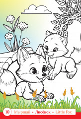 Раскраска «Орман. Лес. Forest» - Фото 2