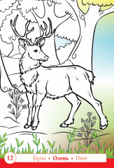 Раскраска «Орман. Лес. Forest» - Фото 3