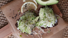 Семена для проращивания «Французский микс» в ассортименте - Фото 2