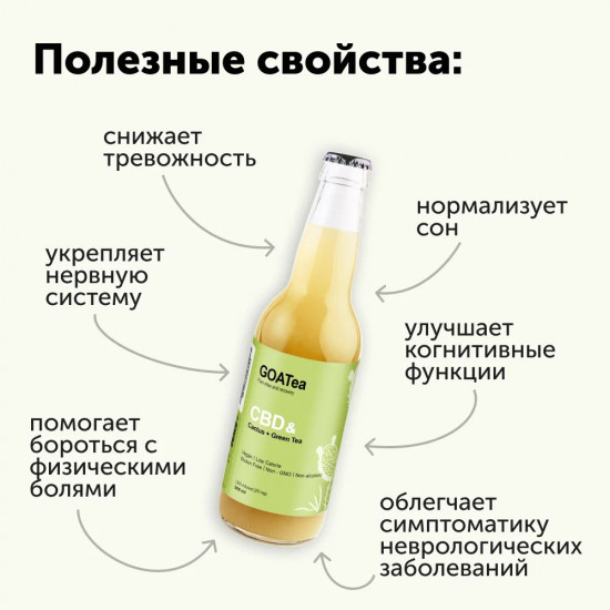 Чай холодный «Cactus + Green Tea»