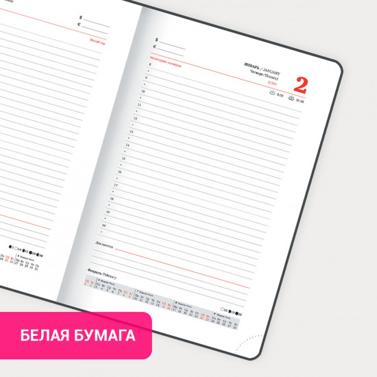 Ежедневник датированный