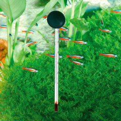 Термометр стеклянный для аквариумов - Фото 1