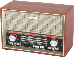 Радиоприемник портативный Ritmix RPR-102 buk - Фото 1