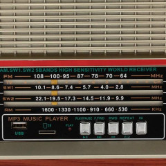 Радиоприемник портативный Ritmix RPR-102 buk - Фото 4