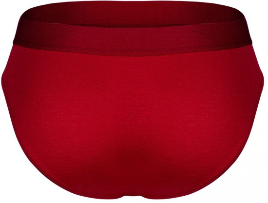 Трусы-брифы мужские