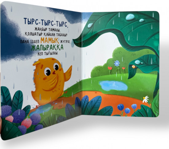 Мамық атты балапан. Алғашқы дос