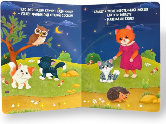 Кто не спит ночью?! Книжка-картонка