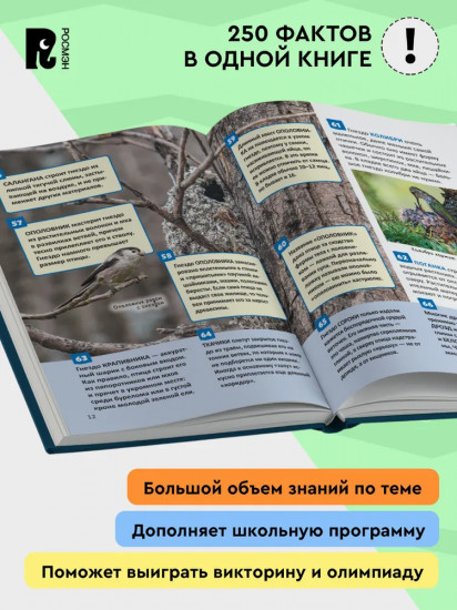 Птицы. Энциклопедия российского школьника