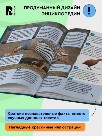 Птицы. Энциклопедия российского школьника