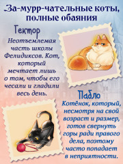 Школа Фелидиксов (#1) - Фото 5