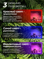 Фитолампа для растений - Фото 4