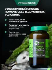 Бальзам суставной с пантами марала - Фото 2