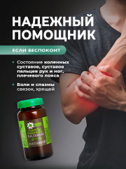 Бальзам суставной с пантами марала - Фото 3