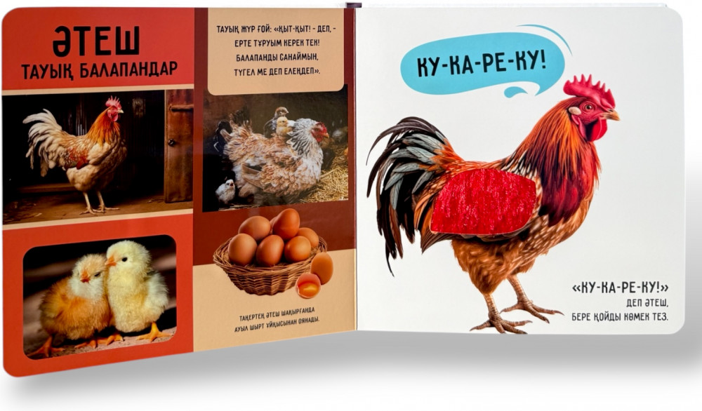 Отбасылық фото отбасылық нудизм