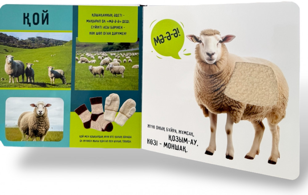 Порно ең жақсы позициялар