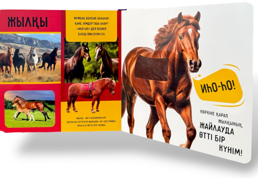 Орыс секс порно: тұрмысқа шыққан әйелдер күйеуінің көзінше алдайды Мега сиськи порно видео