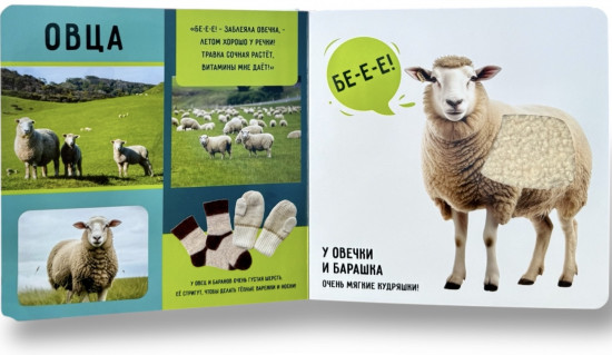 Тактильно-звуковая познавательная книжка. На ферме