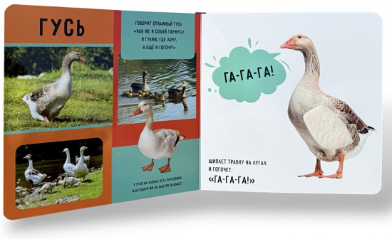 Тактильно-звуковая познавательная книжка. На ферме