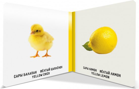 Менің алғашқы түстерім. Мои первые цвета. My first colours. Книжка-картонка на трёх языках