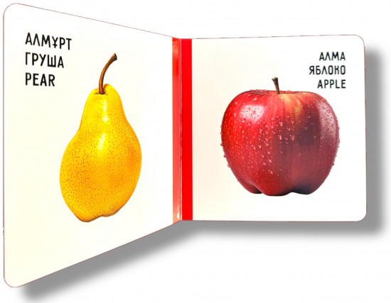 Жеміс-жидектер. Фрукты и ягоды. Fruits and berries