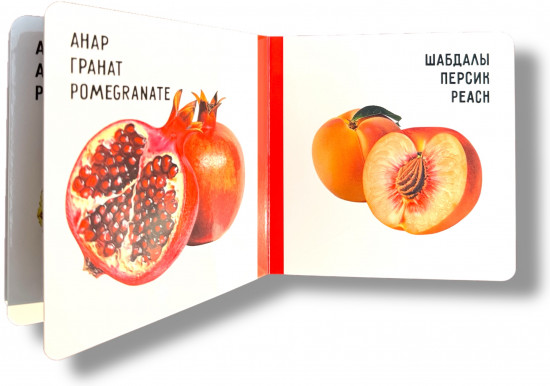 Жеміс-жидектер. Фрукты и ягоды. Fruits and berries