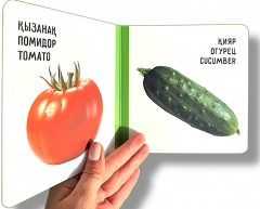 Көкөністер. Овощи. Vegetables - Фото 1