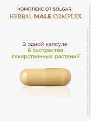 Капсулы «Herbal Male Complex. Травяной комплекс для мужчин» - Фото 3