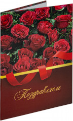 Папка адресная - Фото 1