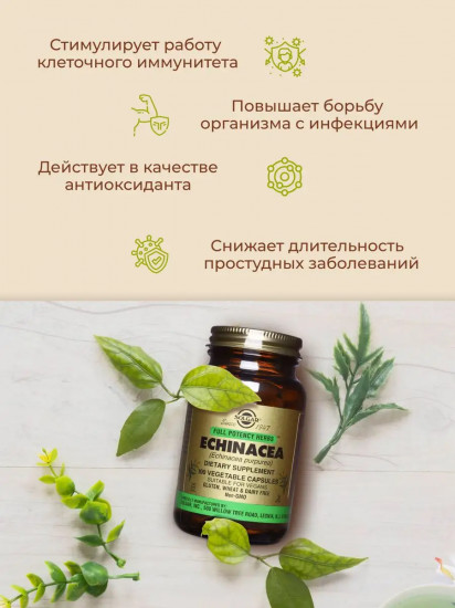 Капсулы «Echinacea. Экстракт эхинацеи пурпурной»